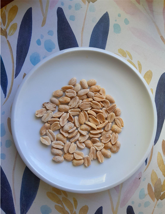 fotografia de fideos y arroz cocidos